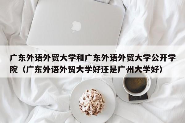 广东外语外贸大学和广东外语外贸大学公开学院(广东外语外贸大学好还是广州大学好)