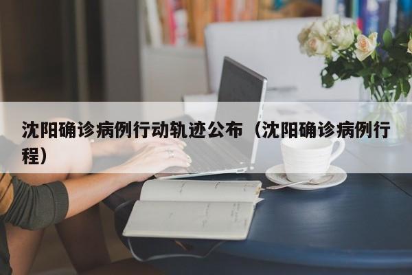 沈阳确诊病例行动轨迹公布(沈阳确诊病例行程)