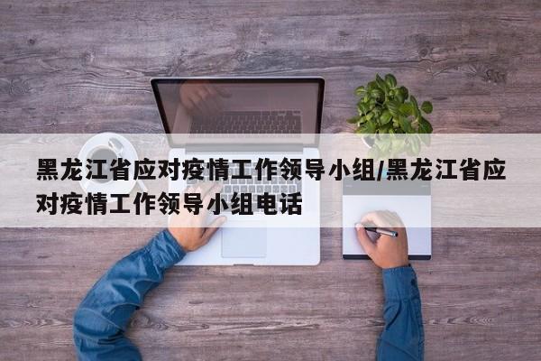 黑龙江省应对疫情工作领导小组/黑龙江省应对疫情工作领导小组电话